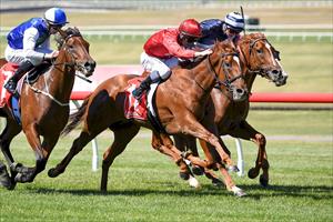 ALLEN SURGES ROSEMONT MARE TO VICTORY